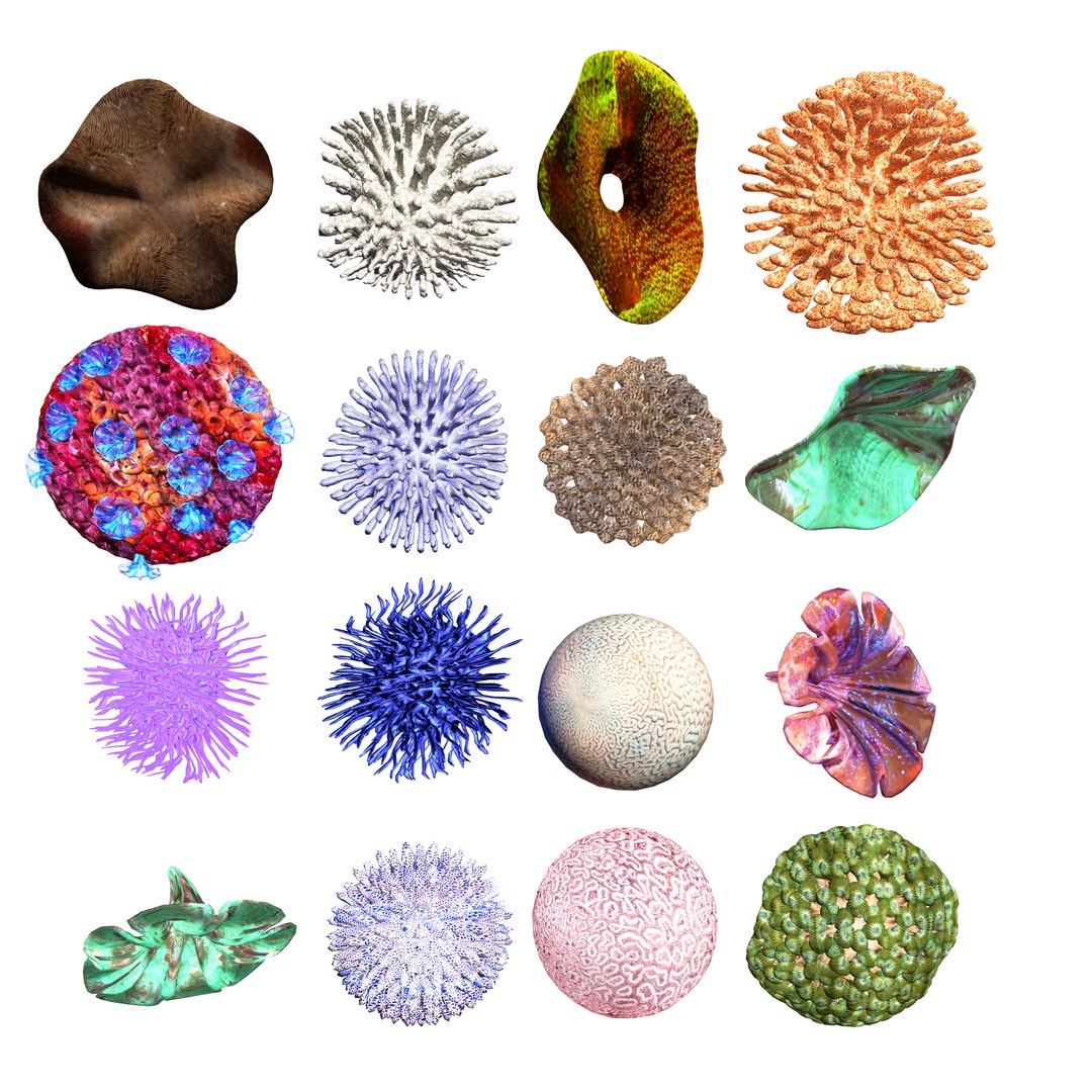 Aquarium Coral Collection 3d Model  